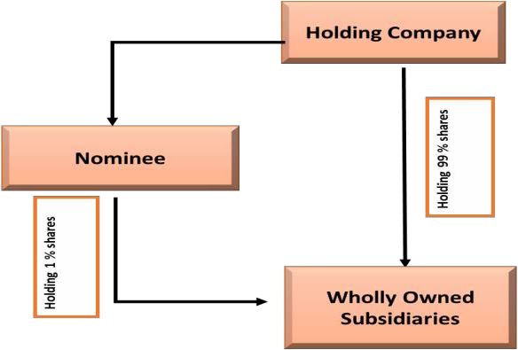 Concept of Wholly Owned Subsidiary, Registered Owner, Beneficial Owner under section 89 of Comapnies act Image 1