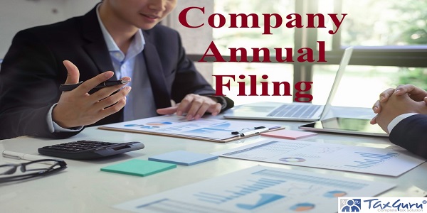 Company Annual Filing
