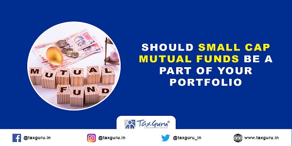 Should Small Cap Mutual Funds be a part of your Portfolio