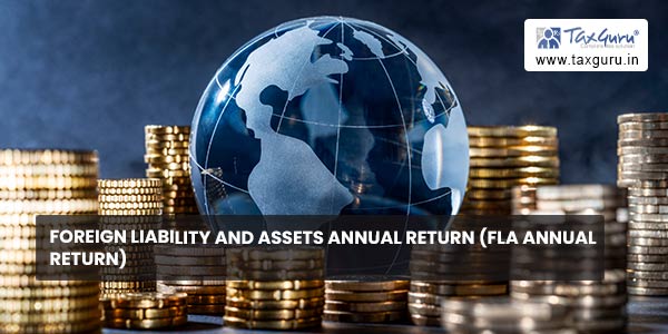 Foreign Liability and Assets Annual Return (FLA Annual Return)