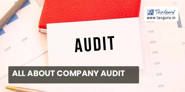 All about Company Audit