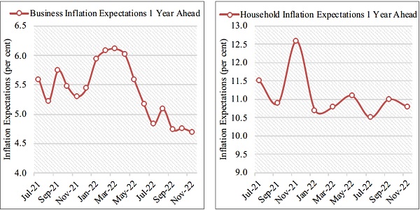 Business and Household Inflationary 
