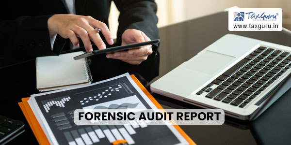 Forensic Audit Report