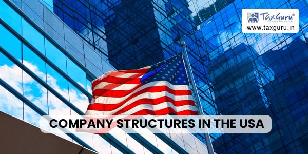 Company Structures in the USA