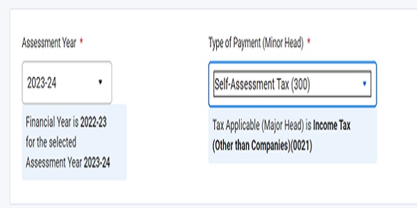 Type of Payment as Self Assessment Tax