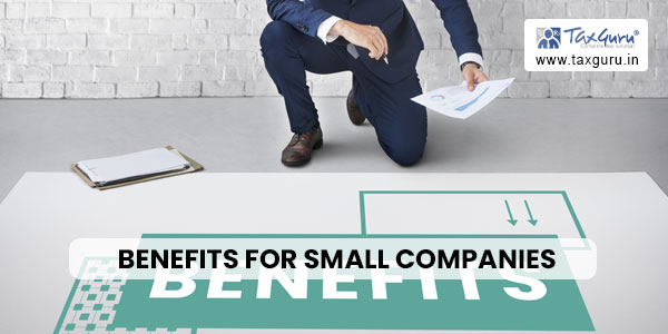 Benefits for Small Companies
