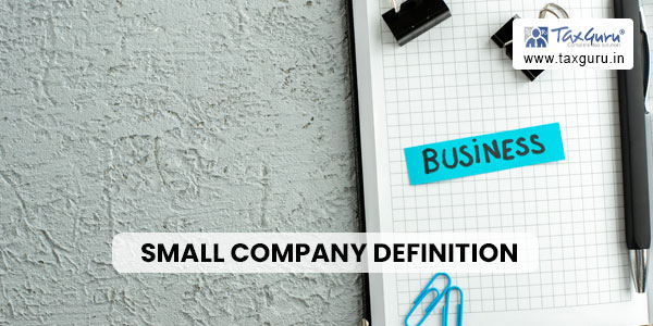 Small Company Definition