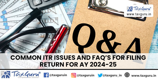 Common ITR Issues and FAQ’s For Filing Return for AY 2024-25
