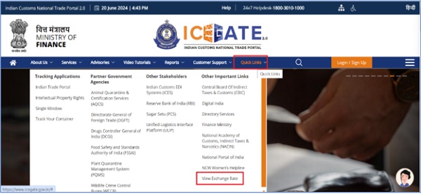 Viewing Exchange Rates on ICEGATE