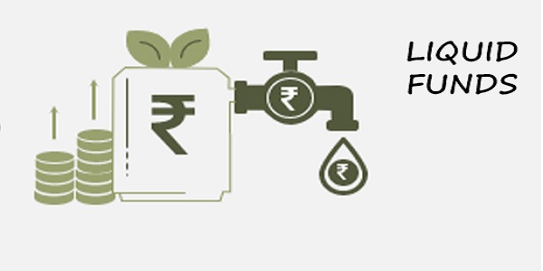 Liquid Funds Are Back This Year- Should You Invest